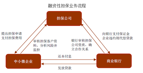 融资性担保看这一篇就够了_机构